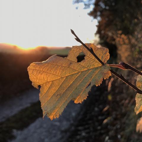 Seasonal colours outside my jewellery making studio